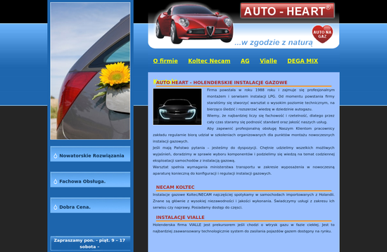 AUTO-HEART